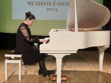 FESTIVALIS „MUZIKOS ŽAISMAS“